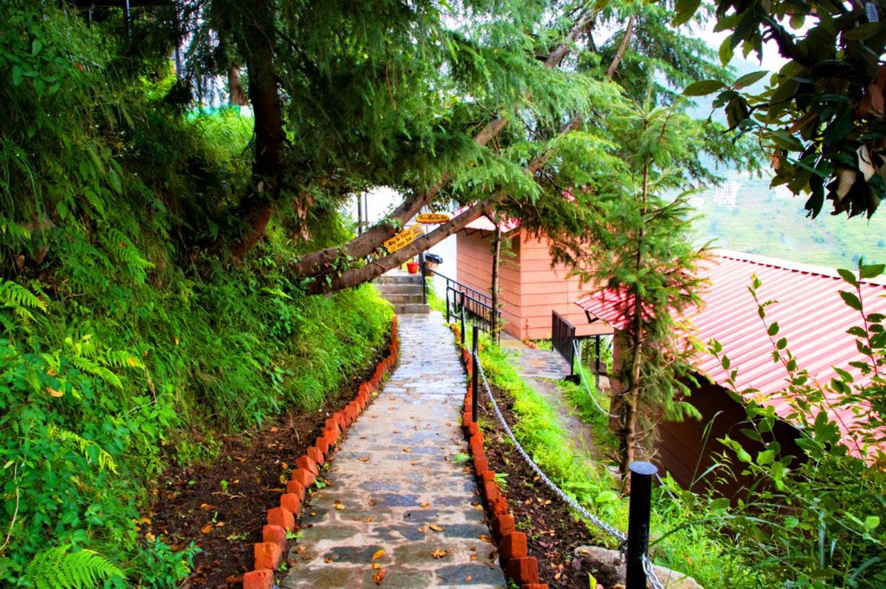 Aamod Resorts Dalhousie ! Luxury Cottage Resort Exteriör bild