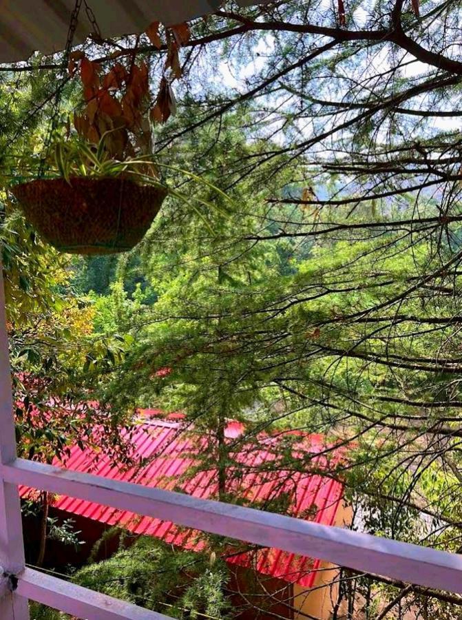 Aamod Resorts Dalhousie ! Luxury Cottage Resort Exteriör bild