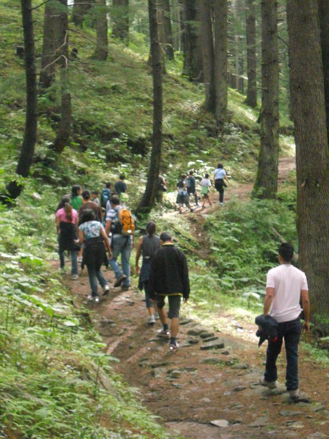 Aamod Resorts Dalhousie ! Luxury Cottage Resort Exteriör bild